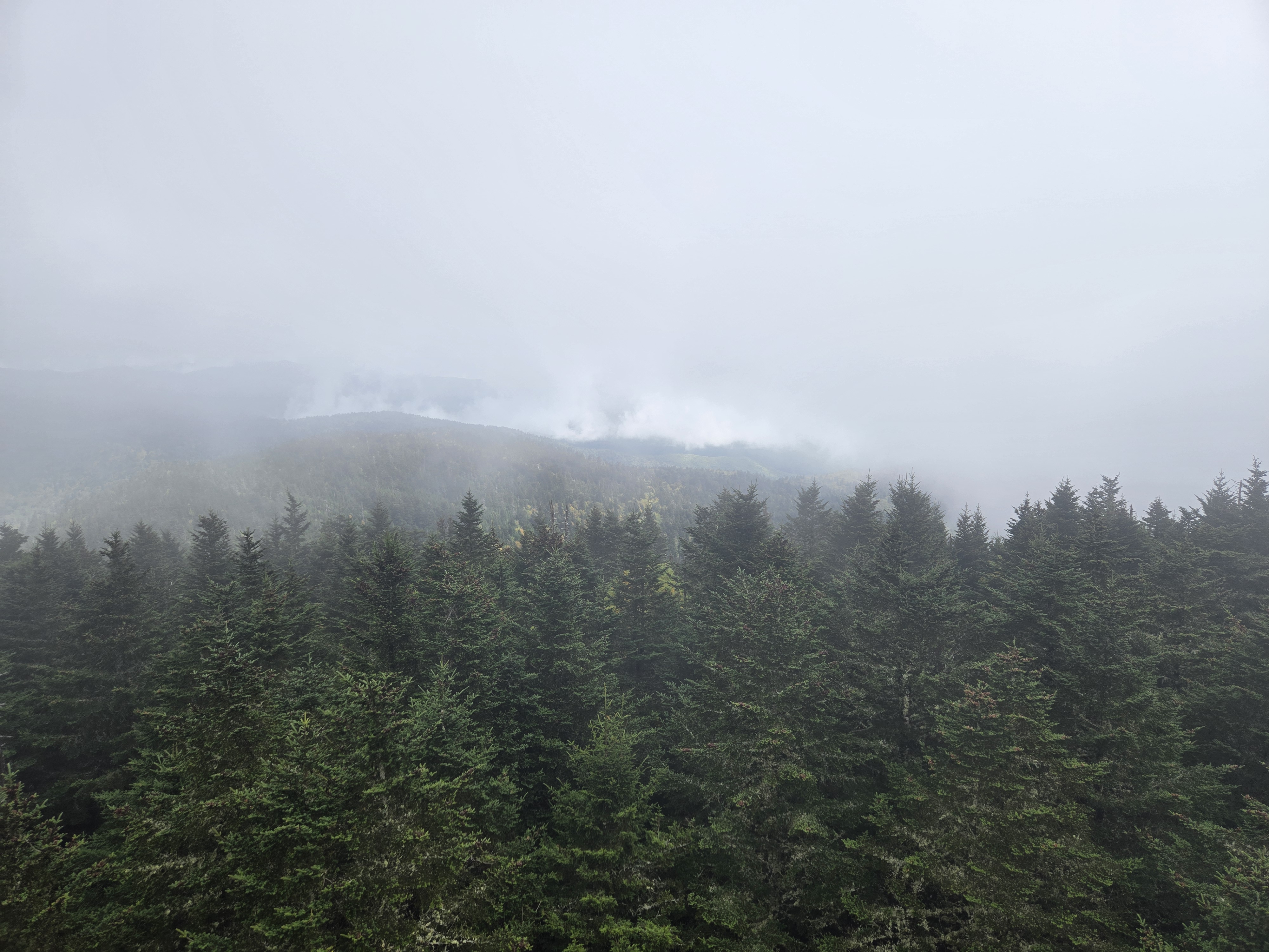 Great Smoky Mountains